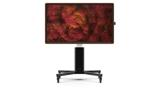 CTOUCH Canvas Produktbild auf weißem Grund